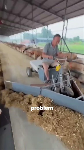 A Trap of Zoonotic Disease Risks