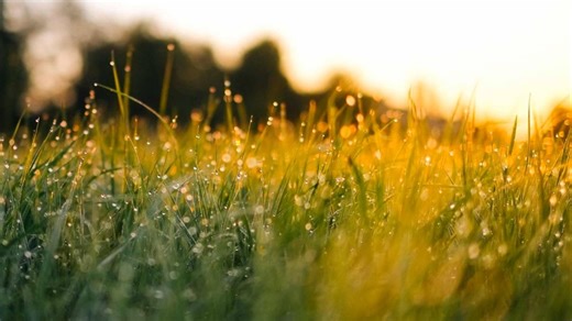 pve底层lxc容器安装openwrt软路由(daed大鹅篇）