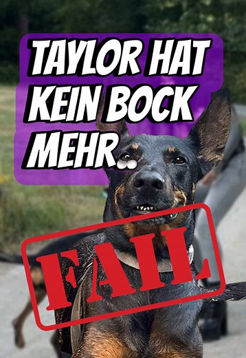 Taylor Dearden: Alltag, Hunger & kleiner Streit – Ausschnitt vom Tag