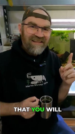 Shrimp Tank Cycling Mistake: Are You Making It?