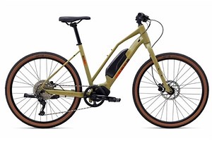 eBiking in the Forest of Dean