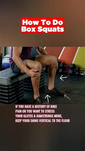 BACK TO BASICS- Day 18: Box Squats for Pain-Free Leg Day #Fitness #Workout #Gym #Squat #LegDay