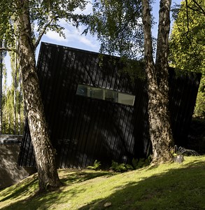 Green Home of the Year 2022: The Black House