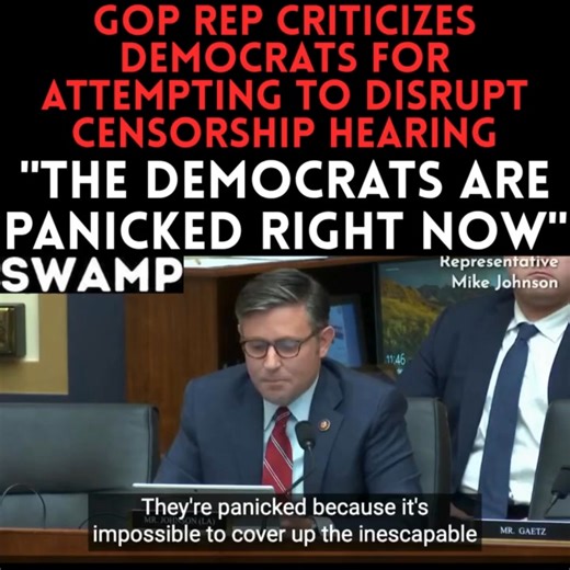 262K views · 8.7K reactions | They're in full panic mode—because the truth is closing in. | DC Swamp | Facebook