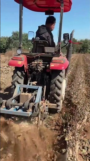 Subsoiling for Healthier Soil: Deep Tillage in the Orchard #Subsoiler #DeepTillage #SoilHealth
