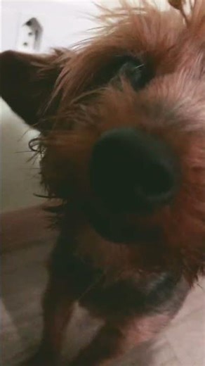 25 de outubro de 2025