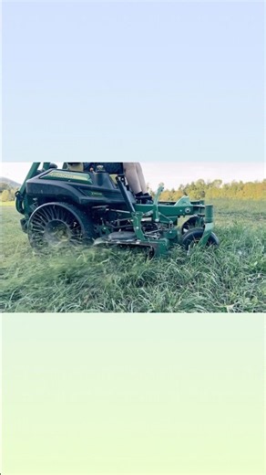 The Lawn Grind Never Stops 💪🌱