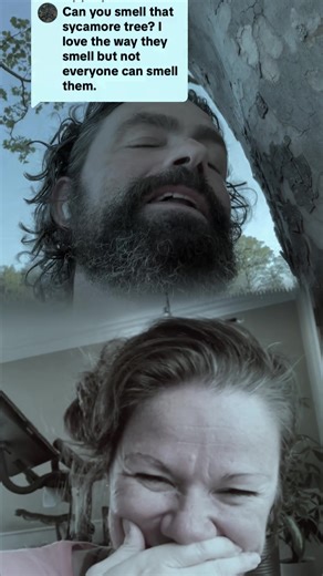 Hilarious Dad Jokes Compilation That Will Make You Laugh