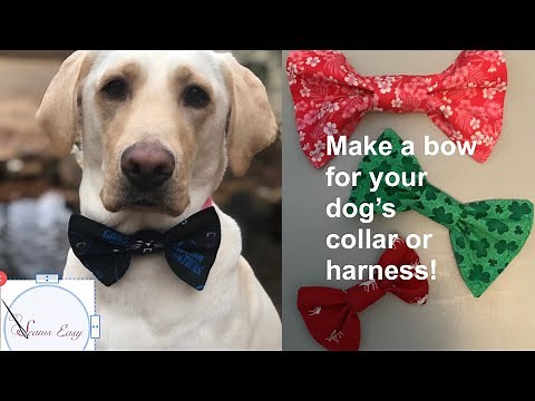 Sew a Bow for your Dog! Easy!