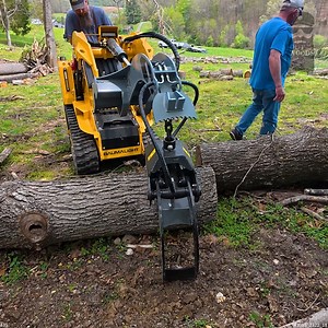 Logging With a MINI Skid Steer #logging #logs #skidsteer #miniskidsteer | Out of the Woods Forestry