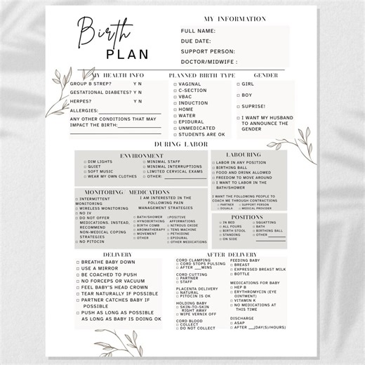 Birth Plan Template | Instant Download | Birth Preferences | Printable PDF | Editable Format | Pregnancy Planner | Labor and Delivery - Etsy