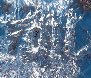 FOIL Summary, Trailer, Cast, Where to Watch and More