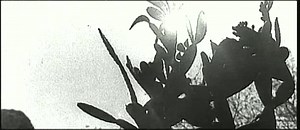 Eolomea (1972) Trailer - English Subtitles