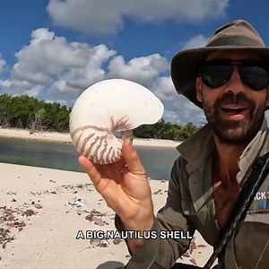 37K views · 611 reactions | We're out combing the beach looking for treasure! | Back 2 Basics Adventures | Facebook