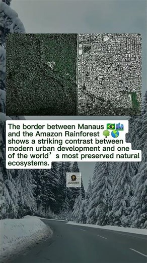 The Sharp Border Between Manaus City and the Amazon Rainforest