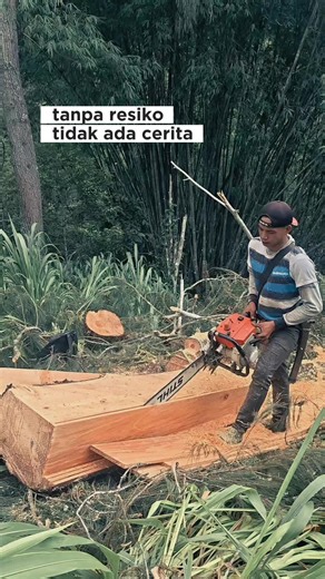 Expert Techniques for Woodworking with Stihl Chainsaw