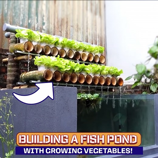 DIY Fish Pond & Vegetable Garden Combo | No1 Ideas