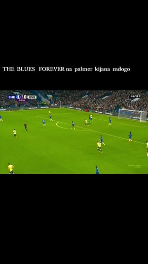 Chelsea Blues vs Everton Match Highlights
