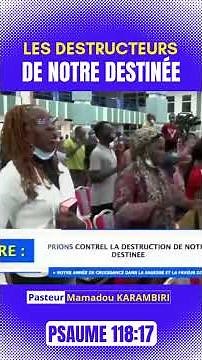 LES DESTRUCTEURS DE NOTRE DESTINÉE