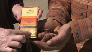 Sask. couple farms cocoa in South America