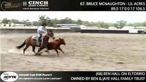 10K views · 264 reactions | Ben Hall & Eltorrio (by Daleys Playrio) had a cracking 90 point run in Rd 2 of the 2020 KPH Tamworth Golden Guitar Campdraft. Rd1 wasn't kind to them so it was round money they were chasing...and they caught it, placing =5th.  www.selectsires.com.au/stallion/Daleys-PlayRio Video sponsored by CINCH Australia. Australian Equine Network, Wild Colt Productions, Ben & Jaye Hall, Interpath Joint Health Experts | Select Sires | Facebook