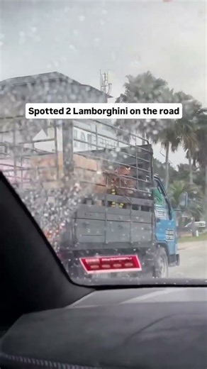2 Lamborghinis on the Road… But One Has 4 Legs 🐂🏎️ boon