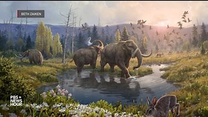 15K views · 435 reactions | Scientists in Greenland have identified the oldest samples of DNA ever found on Earth. By analyzing this two-million year old genetic material, they’ve revealed that northern Greenland was once a wildly different environment. https://to.pbs.org/3MzB3rB | PBS NewsHour | Facebook