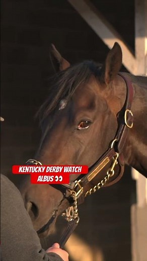 Could ALBUS spring an upset in the Kentucky Derby? Live longshot alert.
