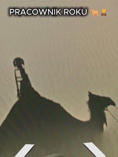 Google Maps na pustyni: zamiast auta — wielbłąd? Wyjaśnienie
