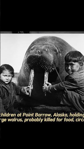 How the Inuits lived