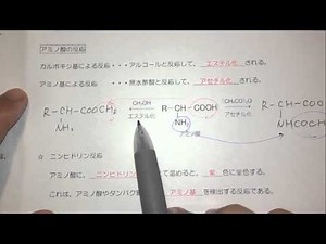 【19 アミノ酸の反応とニンヒドリン反応】高分子化合物3 アミノ酸・タンパク質・核酸