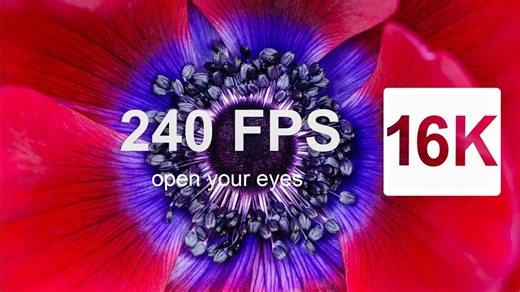 【16K】16K视频-世界16K超高清视频-索尼演示|极致画质|杜比视界|电视屏幕测试|手机屏幕测试 |