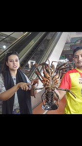 Bigest lobster 🦞 | Zoltan BD