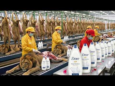 Dove Lotion Uncovered: The Mind-Blowing Process You’ve Never Seen!”