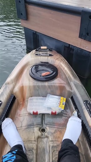 Big Spotted Bass Topwater Fishing Lake Lanier | Quik Whisper