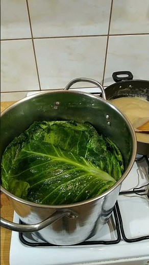 #11 Gołąbki z młodej kapusty krok po kroku. Polish cabbage rolls step by step ( young cabbage )