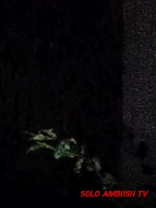 27K views · 1.2K reactions | Mode Hunting semalam di beri lihat susuk terapung jauh di awal.......tetapi selepas beberapa ketika susuk itu hilang. Bunyi semak di rempuh dan suara. EMF tinggi....dan selebihnya hanya tenang tenang aja.... Aku rate 2 out of 10 stars. Xxx | Solo Ambush | Facebook