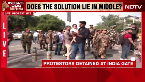 Around 40 Activists Detained For Protesting Against Top Court's Dog Order