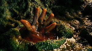 Human Hand Alien Pod Ufo Abduction Stock Footage Video (100% Royalty-free) 1038859160 | Shutterstock