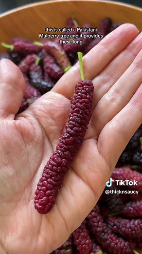 Homemade Mulberry Jam Recipe