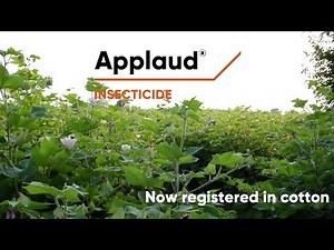 Applaud use in cotton
