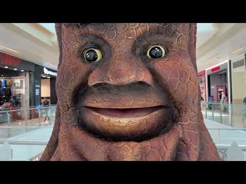 Baby tree // cartoon video 