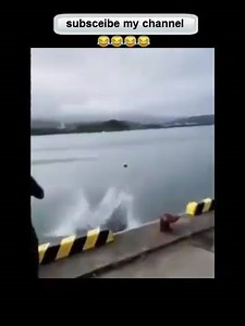 Best funny clips video in 2024 | Shorts funny fails moment | fun video new