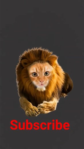 your favourite wild animal name #cute 🐍🐆🦧🦛🦏🦕