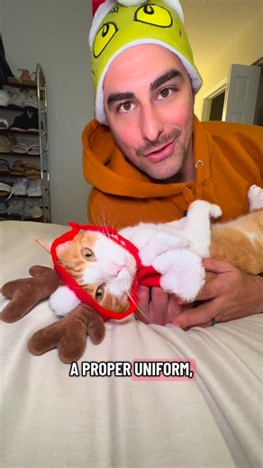 @orangeboyronofficial on Instagram: "The orange grinch that stole Christmas 🎄🎁 #catsoftiktok #orangecatbehavior #funnycat #cat #viralcat"