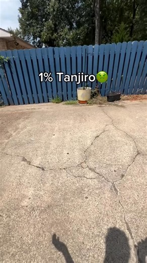 Slayer Umbrella | Demon Slayer Katana Umbrella🤩 | Instagram