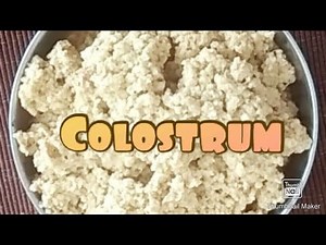 Cow Colostrum with second day milk/ Colostrum preparation in Vessel