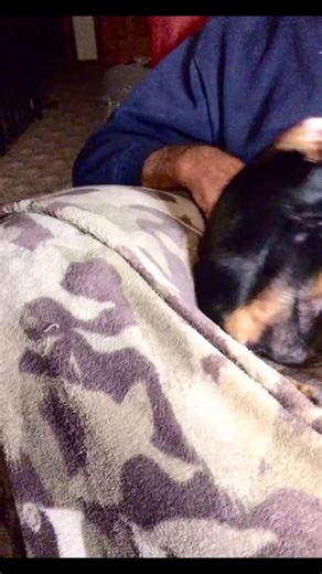 Ouch Charlie #charlieskingdom20 #clubpawsitivity #fbreels #viral #fypシ #fyp #love #foryou #trending | Enchanted Path