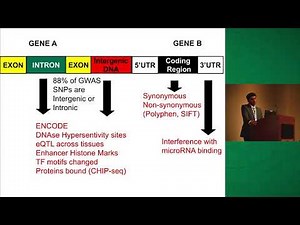 Natriuretic Peptide Deficiency and Cardiometabolic Health