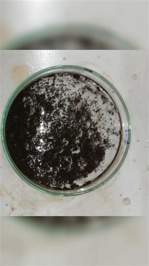 MnFe2O4 Hydrothermal Synthesis #experiment